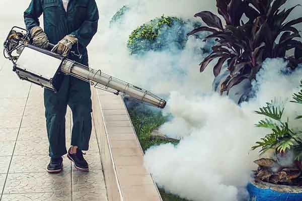 : Professional pest control, fumigation, and fogging services in Nairobi, Kenya, for offices, commercial buildings, and hospitality venues