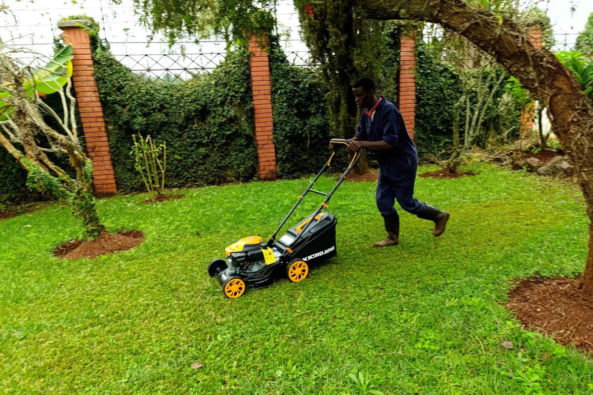 Landscaping and grounds maintenance services in Nairobi, Kenya, for corporate compounds and commercial properties — lawn care, hedges, and gardens